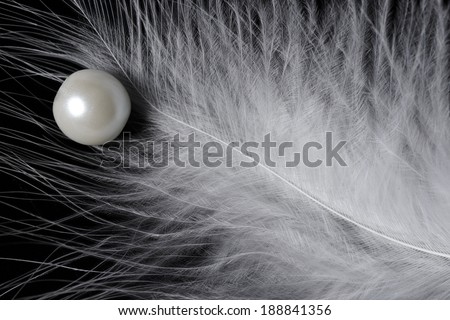 Pearl and feather. White feather and pearl on dark background