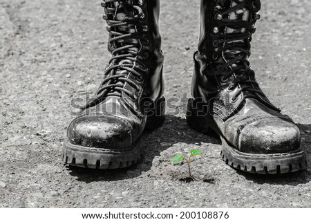 Warriors boots against small plant as war against life