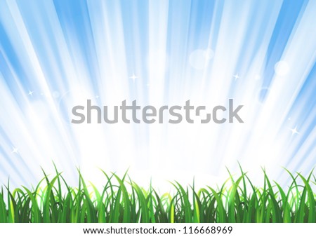 Spring Or Summer Sunrise Grass Landscape/ Beautiful landscape with shiny bright summer or spring sunrise behind a glossy grass leaves foreground, including light blurs, rays, and stars