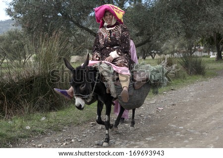 GALEZ, MOROCCO -- CIRCA NOVEMBER 2011 -- A Moroccan woman sets out to gather sage and other forest products by way of donkey in the foothills of the Rif Mountains.