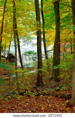 Waters Edge - The trail through the woods leads to the water during an autumn walk.