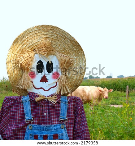A smiling scarecrow stands in front of the cow pasture while a curious cow looks on.