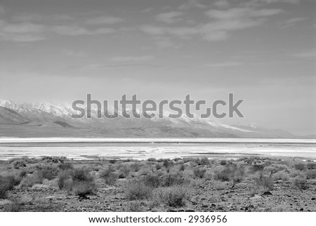 Death Valley Salt Pan is one of the largest salt pans in the world. Black and white image.