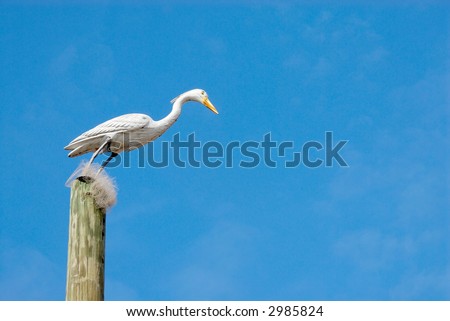 Bird On A Pole - a carved crane standing on top of a pole against a bright blue sky.