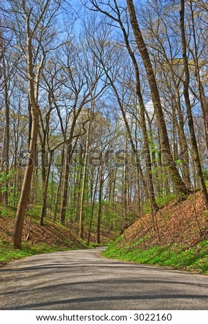 Road through the wooded hills at historic Spring Grove Cemetery in Cincinnati Ohio USA, the second largest cemetery in the United States, established in 1845.