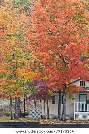 Fall colors of the trees flanking a cabin in North Carolina, USA.