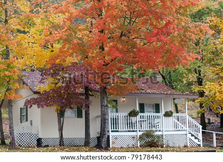 Fall colors of the trees surrounding a cabin in North Carolina, USA.