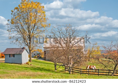 A horse is grazing inside the fence at a horse farm in Kentucky, USA.
