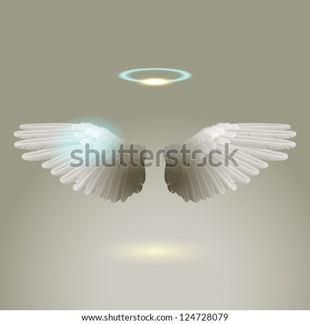 Angel wings eps10 vector Angel wings eps10 vector