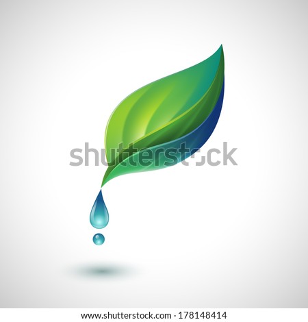 Green leaf with water drop, eps10 vector