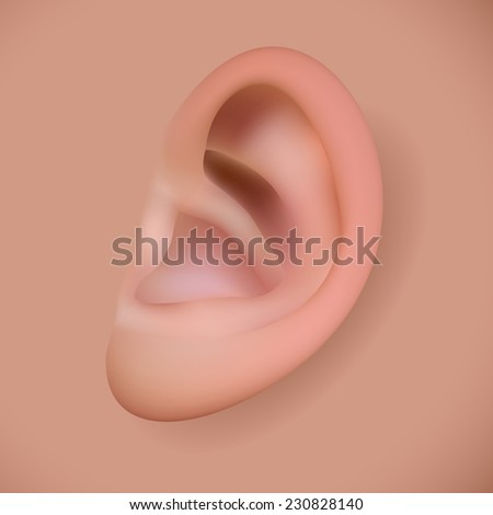 Human ear, eps10 vector