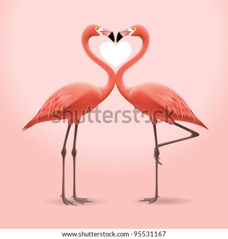 flamingos in love