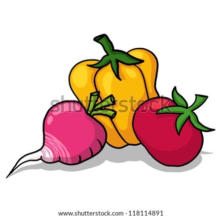 Vegetables Illustration; Vegetable Collection Freehand Drawing; Radish, pepper and tomato