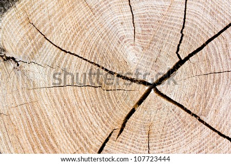 Split Tree