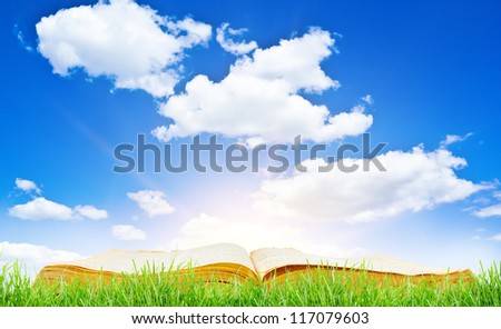 book in green grass over blue sky