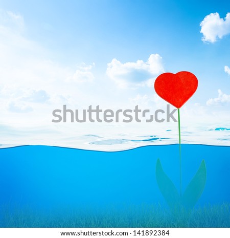 Water and air bubbles over sky background with red heart flower