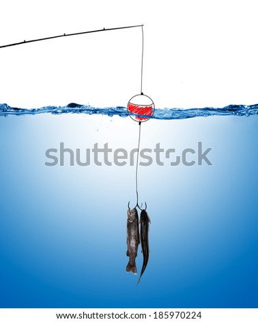 fishing line and hook underwater with fish under water surface