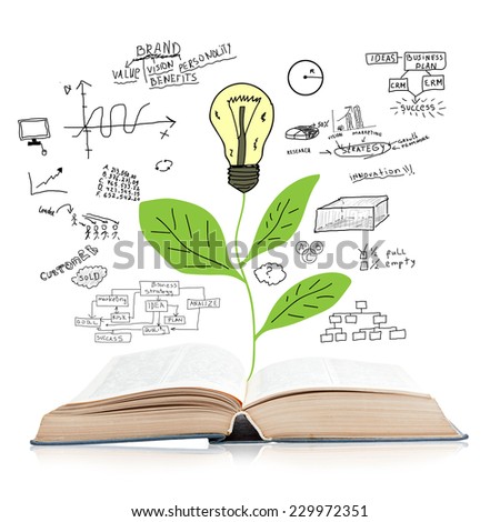 Open book isolated on white background with reflection and a tree with bulb and business plan