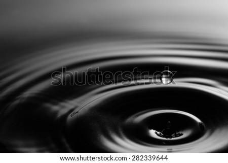 Water splash on black background. water drop
