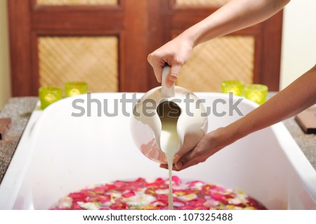 Preparing milk bath by pouring milk inside a bath tub full of fresh roses, part of spa treatment.