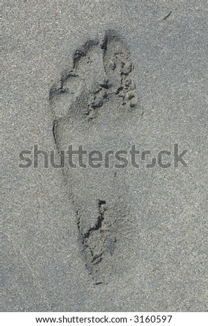 imprint in the sand of a left foot