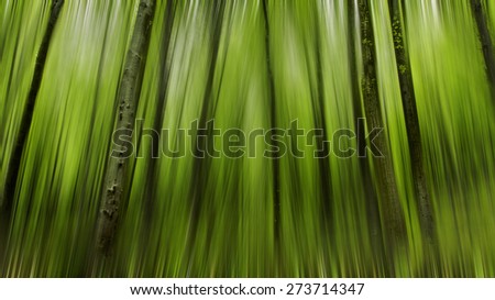 Abstract motion blur of trees in a green forest in spring time,