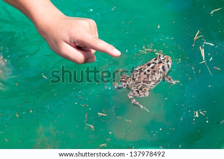 A little hand pointing at a swimming frog/toad