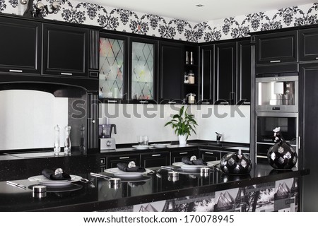 Black And White Luxury Kitchen Interior With Modern Furniture