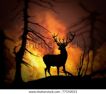 Large elk escaping a wild land fire, 3d model , 300 D.P.I