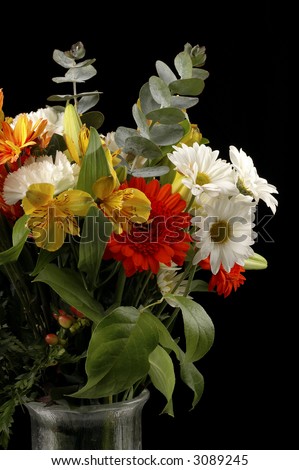 Beautiful arrangement of colorful flowers on a black background.