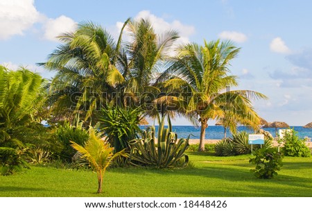 Lush vegetation along the blue Caribbean sea.