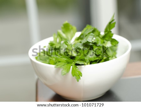 fresh bunch of Italian flat leaf parsley in bowl