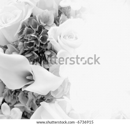 black and white photography flowers. lack and white photography