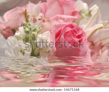 Beautiful Flower on Beautiful Rose Flower Blooming Bouquet In Water Stock Photo 14671168