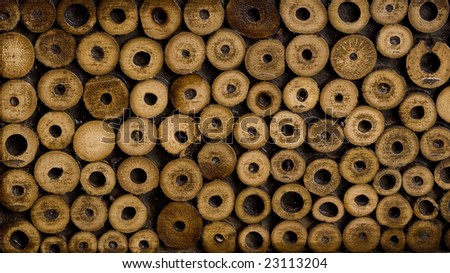 wooden circle pattern of cross cut branches, decorative, for background texture