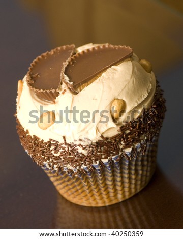 Giant Peanut Butter and Vanilla Cream Cupcake with Chocolate Sprinkles