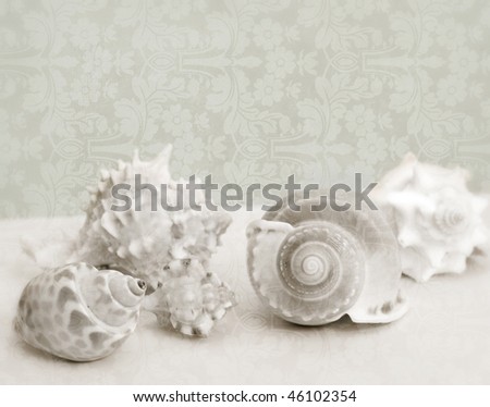 Photo Illustration of vintage seashells on victorian pattern background texture