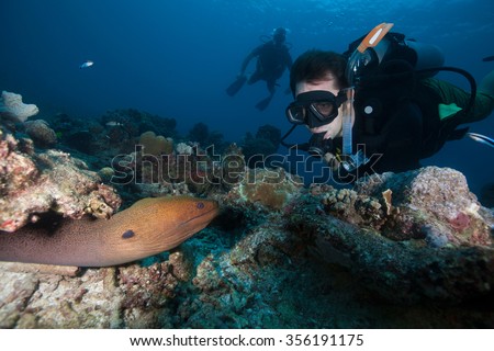 Scuba diver looking at a Giant moray eel