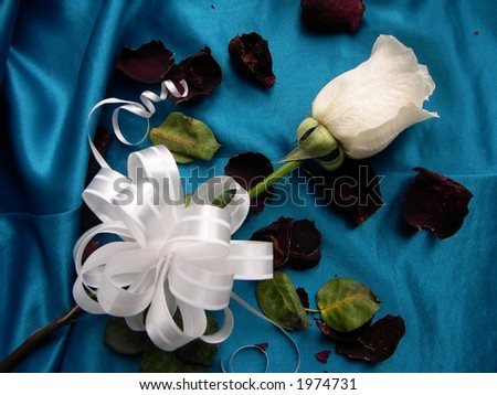 White rose on a bright fabric