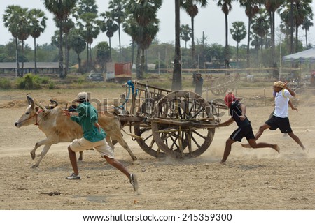 PHETCHABURI, Thailand - FEBRUARY 16 : Cow Racing Festival on February 16, 2014. A cart-yoking cow race in Thailand.This festival is held every year after rice harvest.