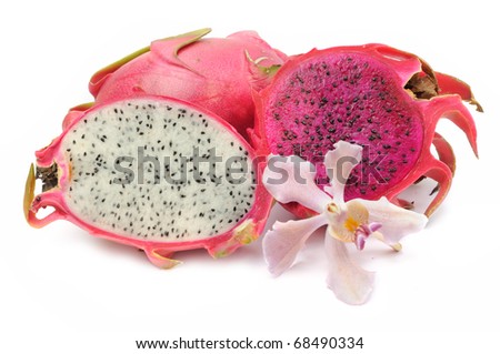 Dragon fruit or Pitaya is the plant in Cactaceae family or Cactus.