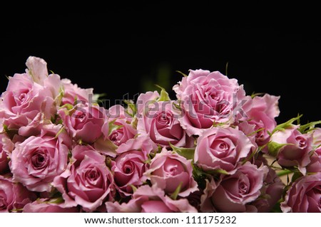Big Roses Bouquet on black background