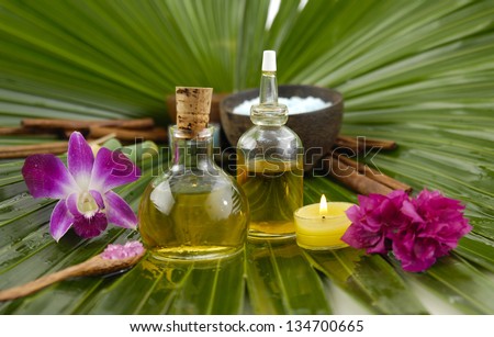 tropical spa on palm leaf texture