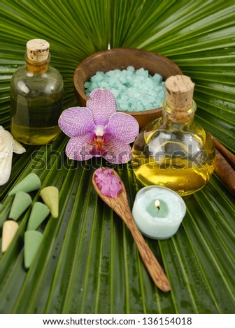 palm leaf texture and image of tropical spa.