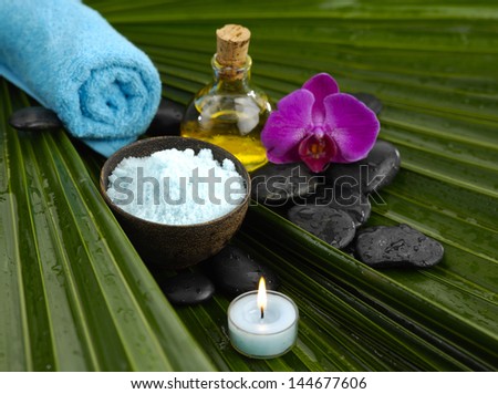 image of tropical spa on palm