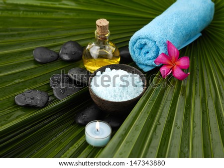 image of tropical spa on palm