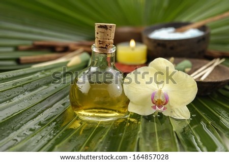 sitting tropical spa with palm texture