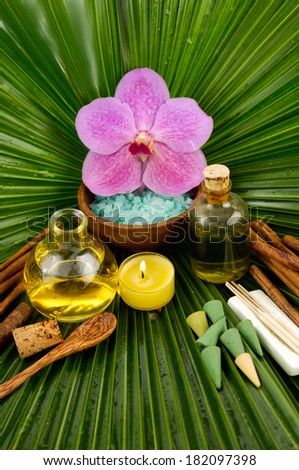 Set for tropical spa on palm leaf