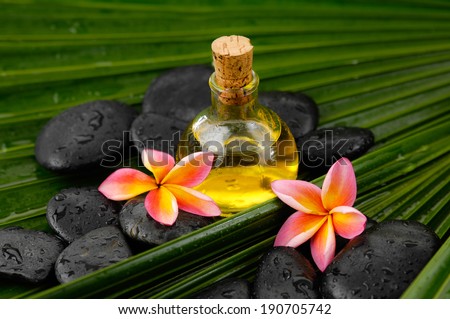 Spa set with frangipani,spa oil ,black stones on wet palm leaf