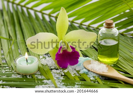 Green spa with orchid and candle ,salt on leaf